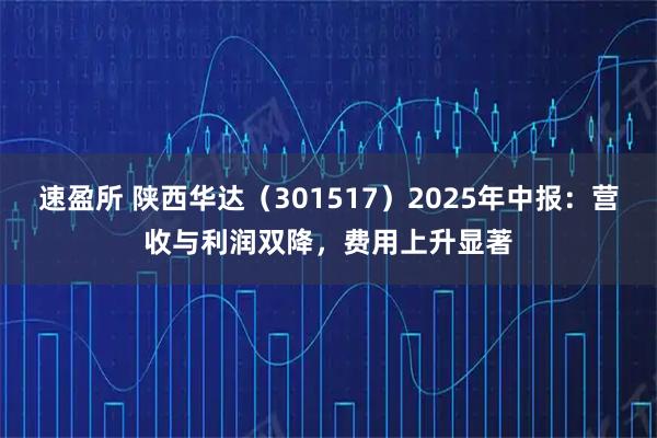 速盈所 陕西华达（301517）2025年中报：营收与利润双降，费用上升显著
