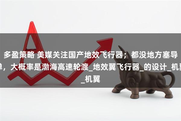 多盈策略 美媒关注国产地效飞行器；都没地方塞导弹，大概率是渤海高速轮渡_地效翼飞行器_的设计_机翼