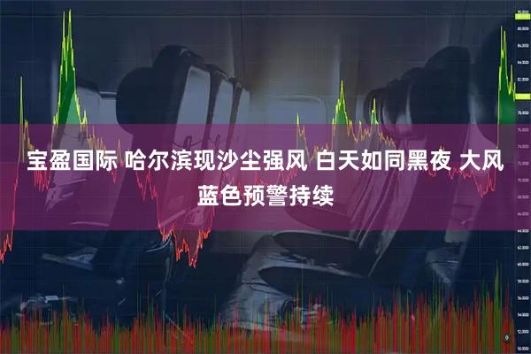 宝盈国际 哈尔滨现沙尘强风 白天如同黑夜 大风蓝色预警持续