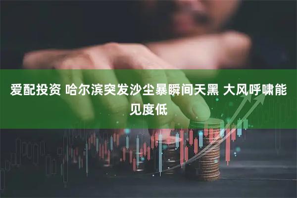 爱配投资 哈尔滨突发沙尘暴瞬间天黑 大风呼啸能见度低