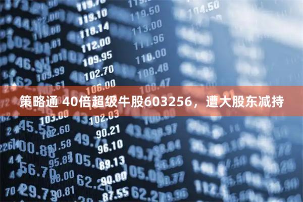 策略通 40倍超级牛股603256，遭大股东减持