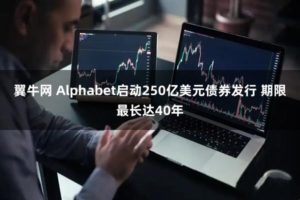 翼牛网 Alphabet启动250亿美元债券发行 期限最长达40年